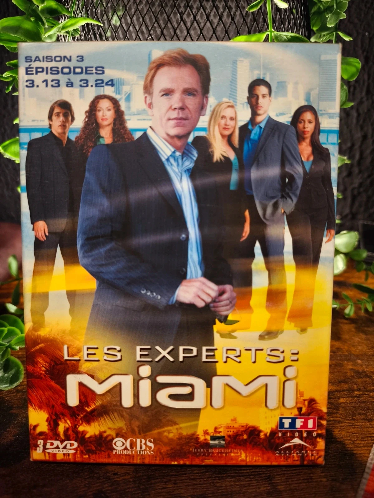 Los expertos Miami temporada 3 – photo 3